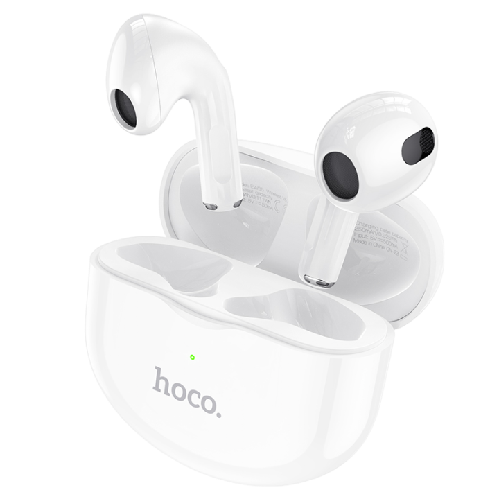 Hoco Earbuds EW24