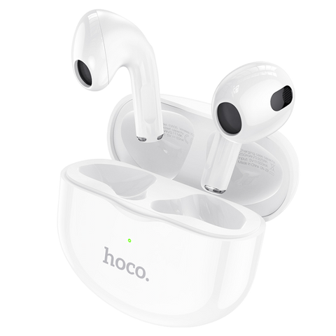 Hoco Earbuds EW24