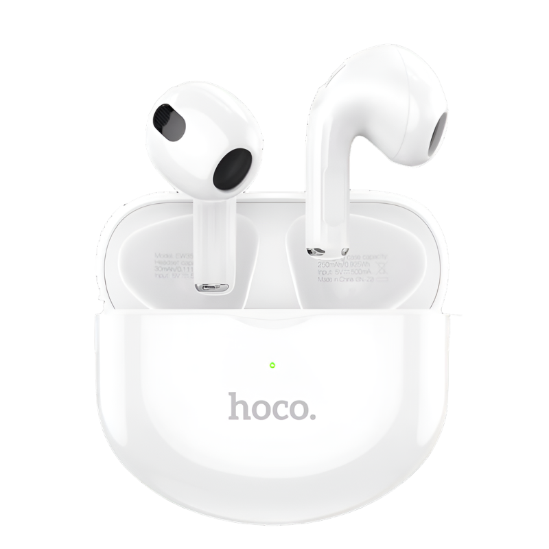 Hoco Earbuds EW35