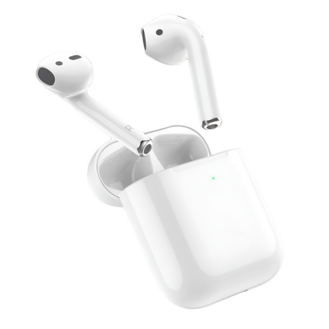 Hoco Earbuds EW25