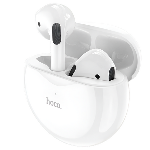 Hoco Earbuds EW24