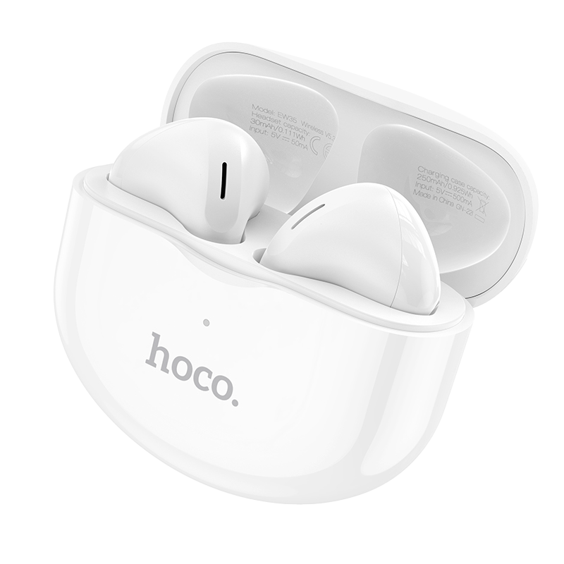 Hoco Earbuds EW35