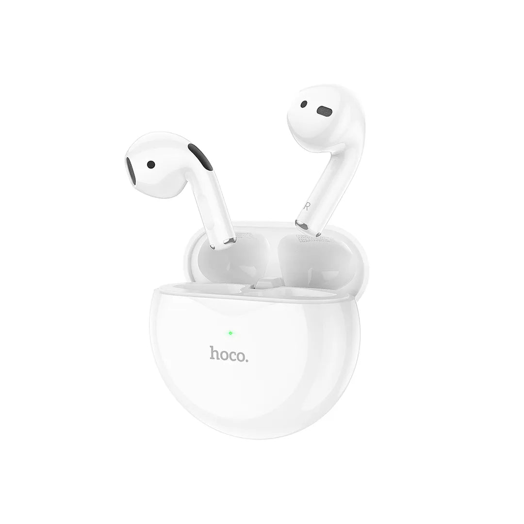 Hoco Earbuds EW24