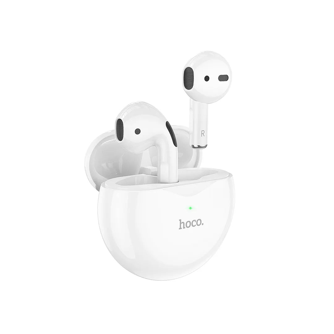 Hoco Earbuds EW24