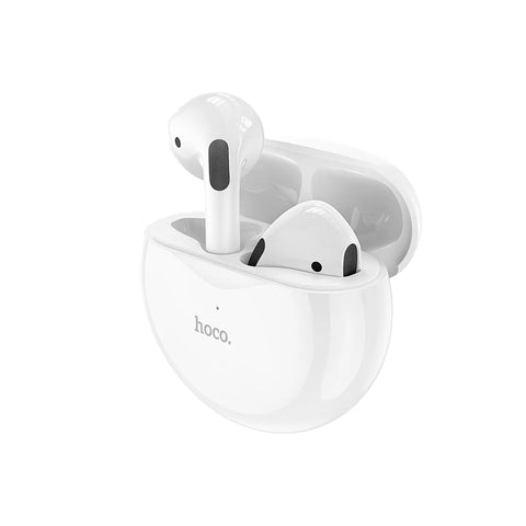 Hoco Earbuds EW24