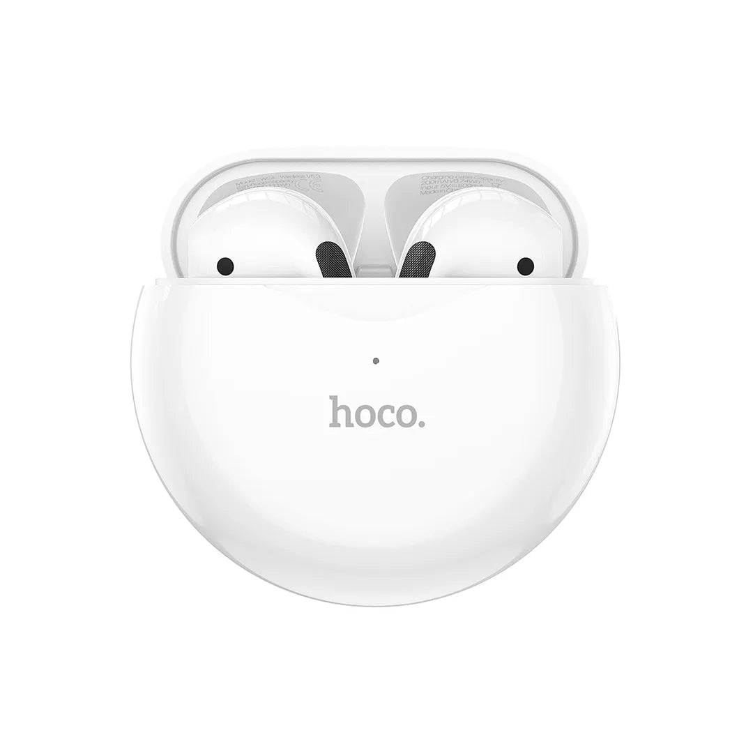 Hoco Earbuds EW24