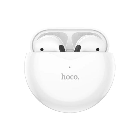 Hoco Earbuds EW24