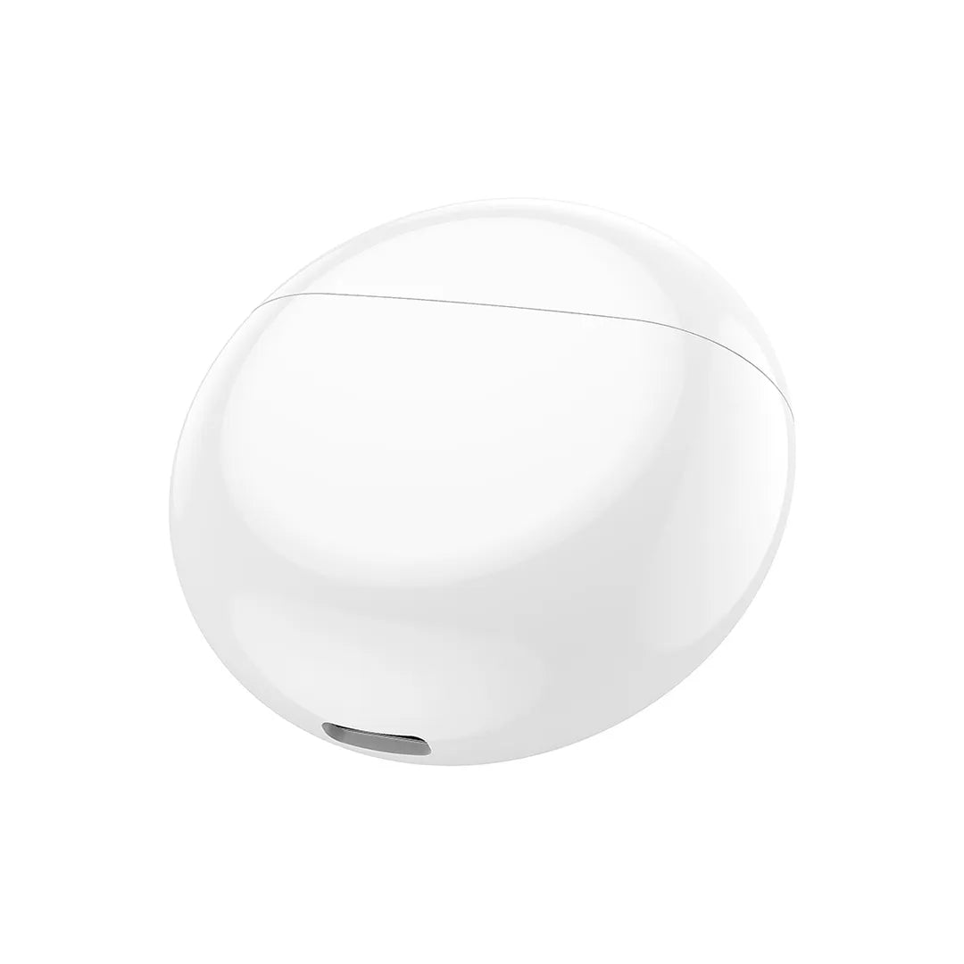 Hoco Earbuds EW24