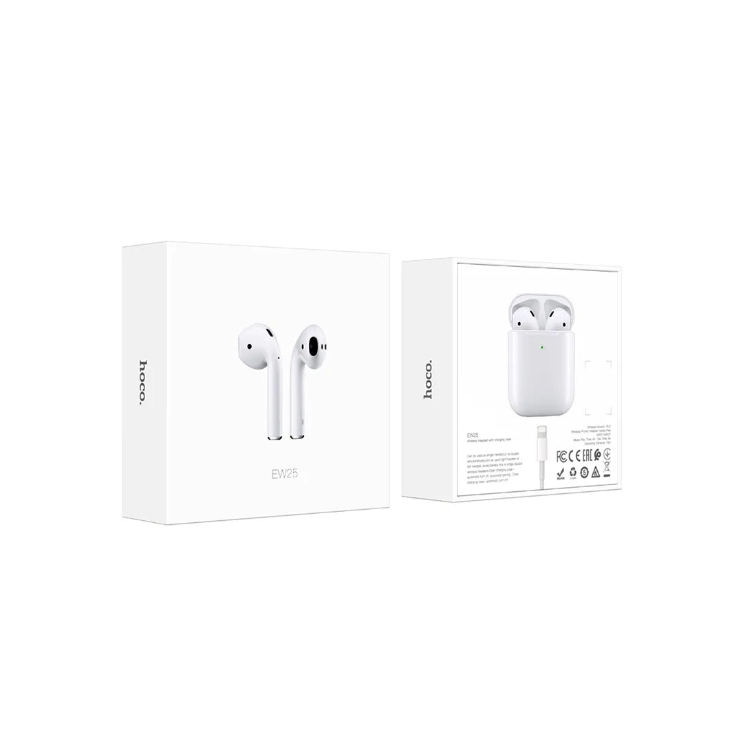 Hoco Earbuds EW25