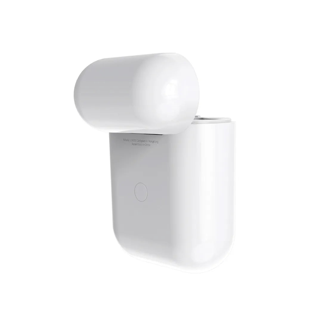 Hoco Earbuds EW25
