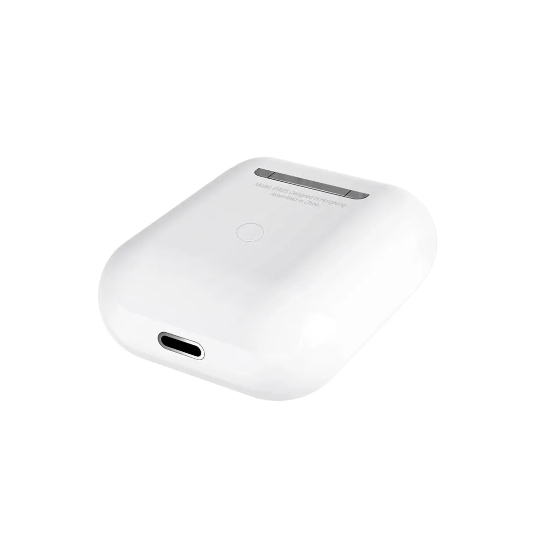 Hoco Earbuds EW25