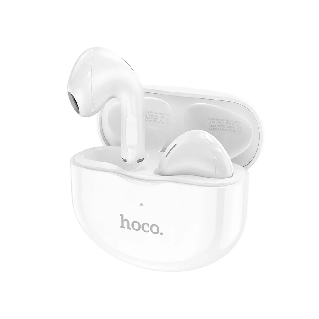 Hoco Earbuds EW35