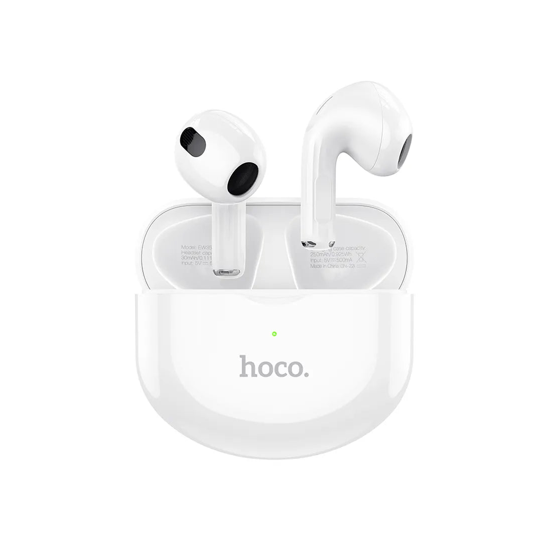 Hoco Earbuds EW35