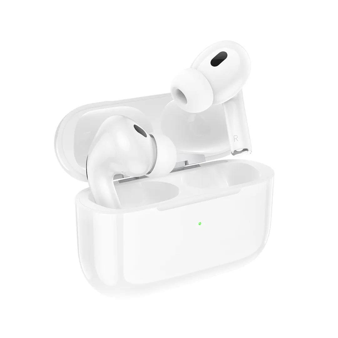 Hoco Earbuds EW51