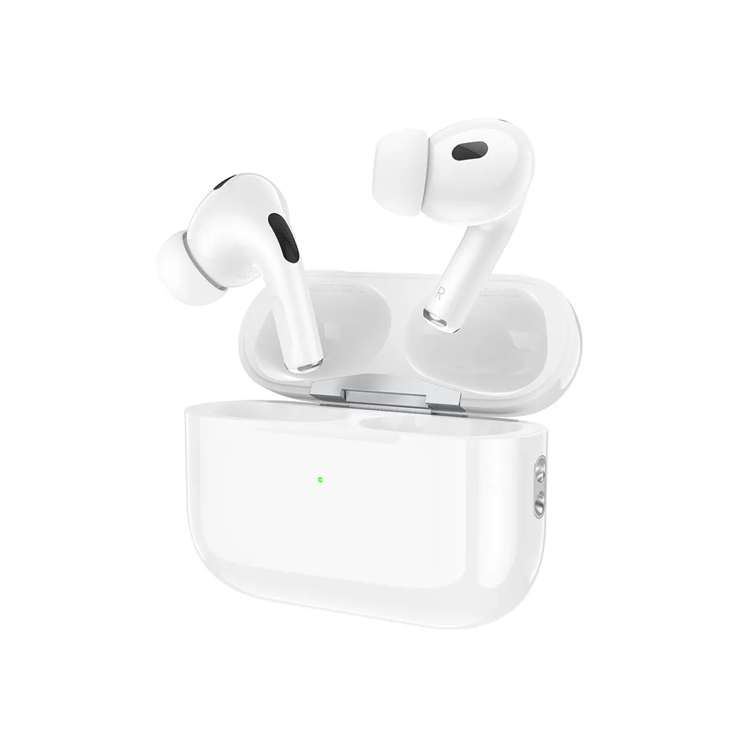 Hoco Earbuds EW51