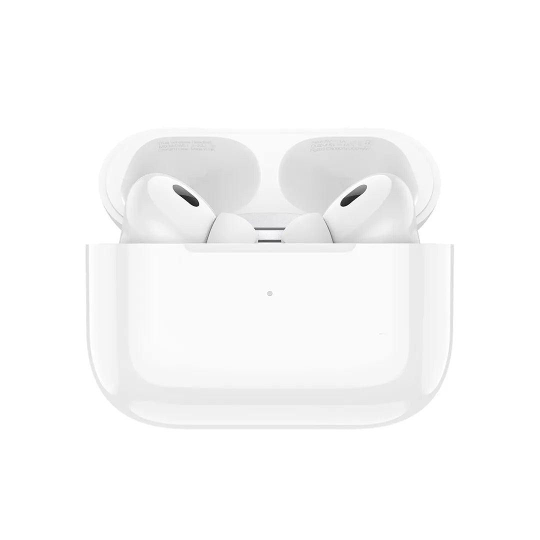 Hoco Earbuds EW51