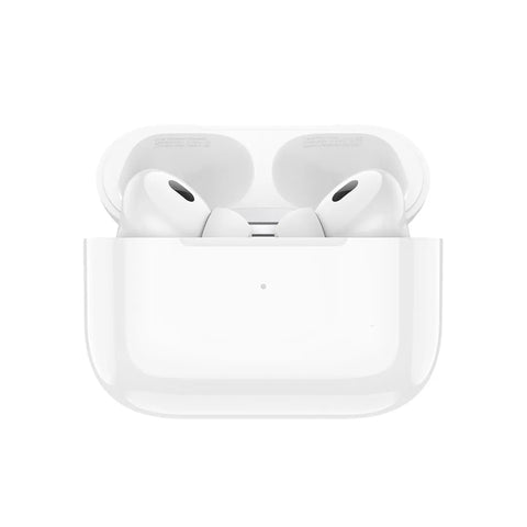 Hoco Earbuds EW51
