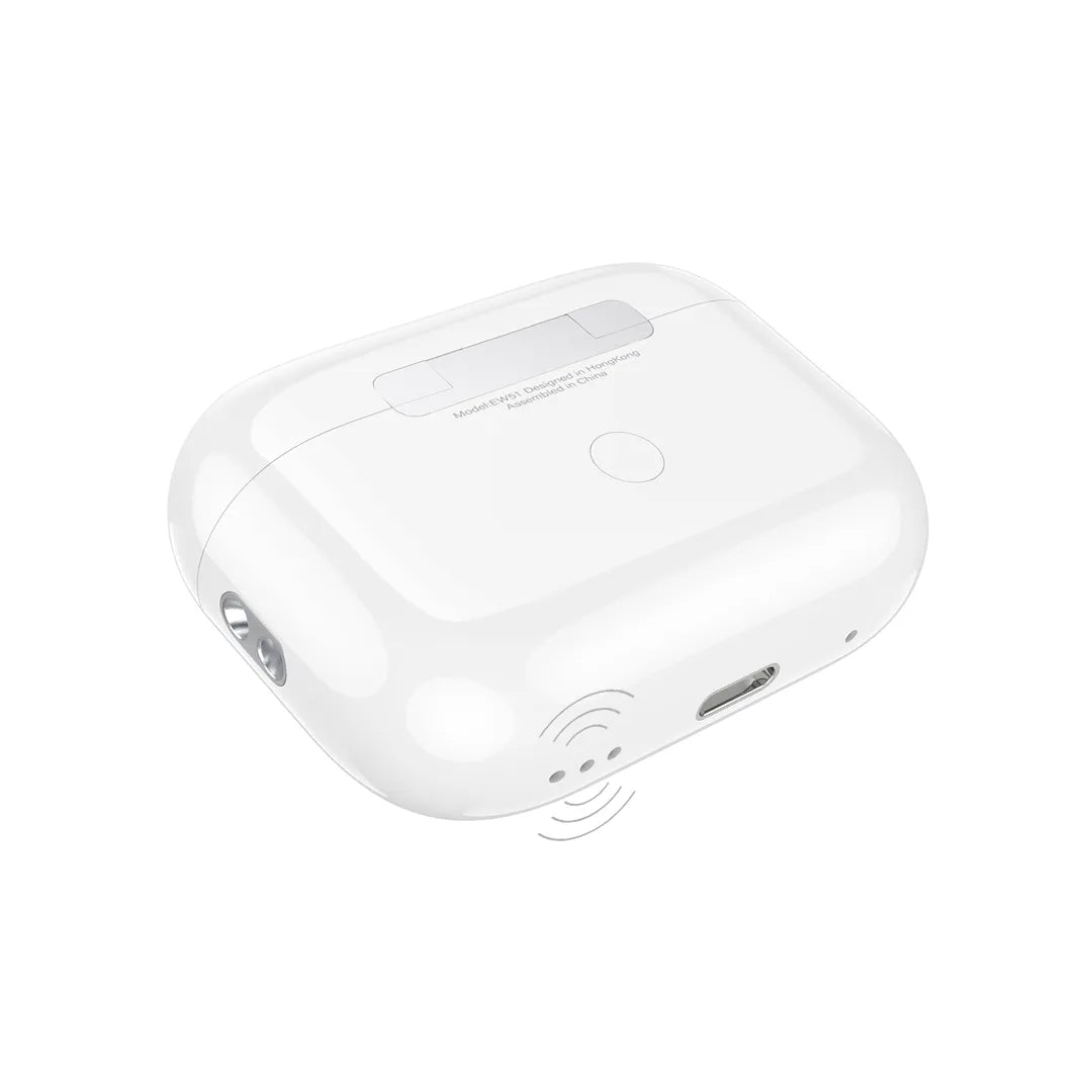 Hoco Earbuds EW51