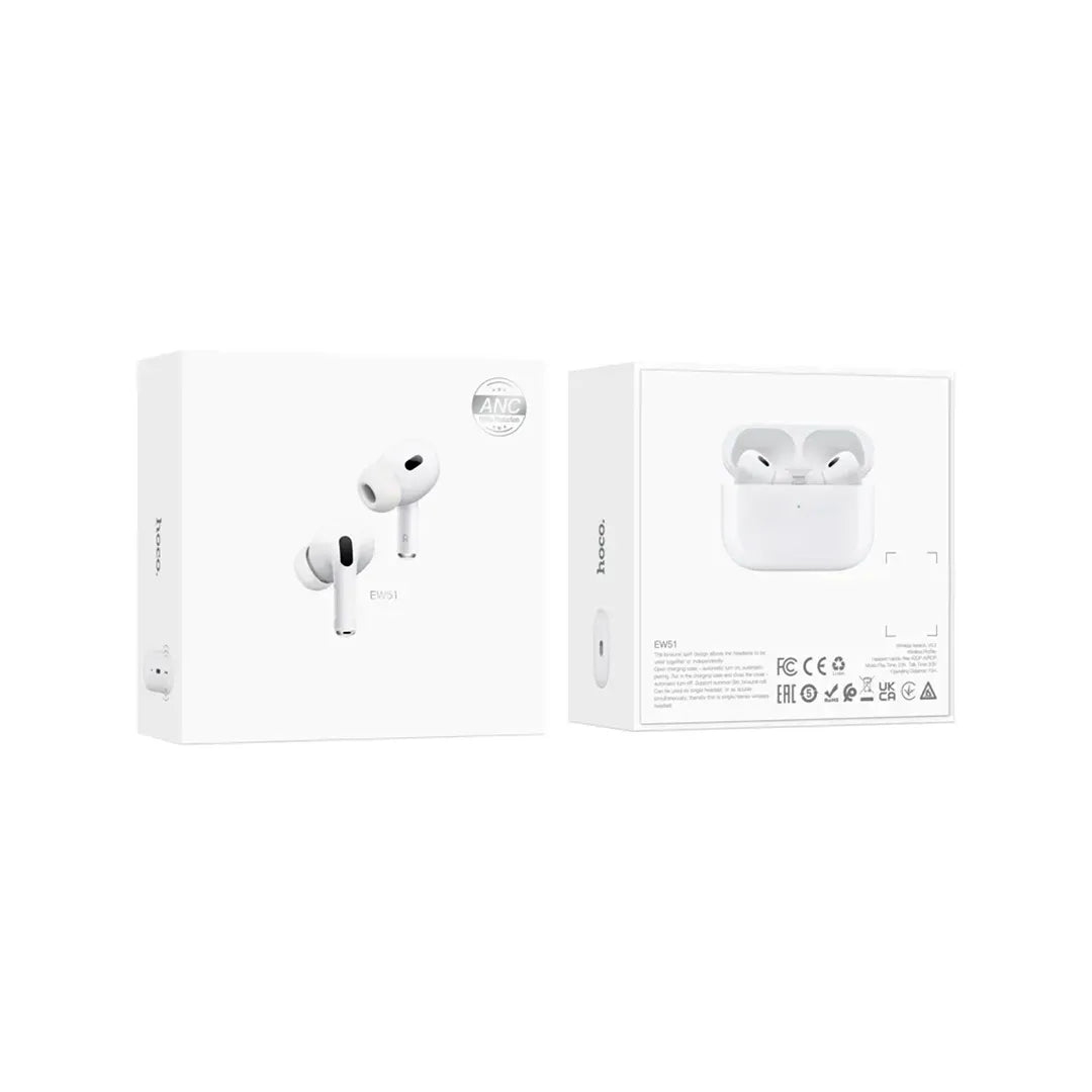 Hoco Earbuds EW51
