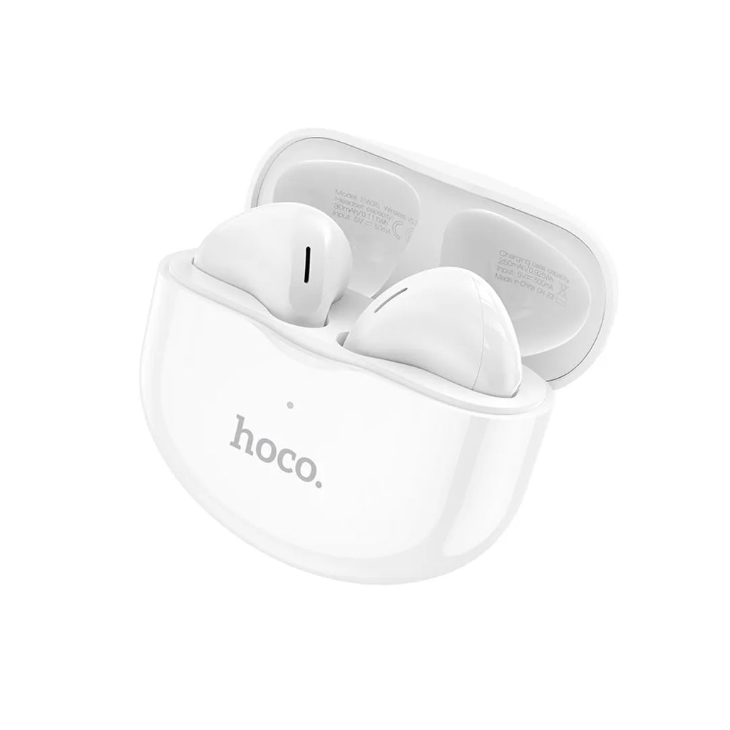 Hoco Earbuds EW35