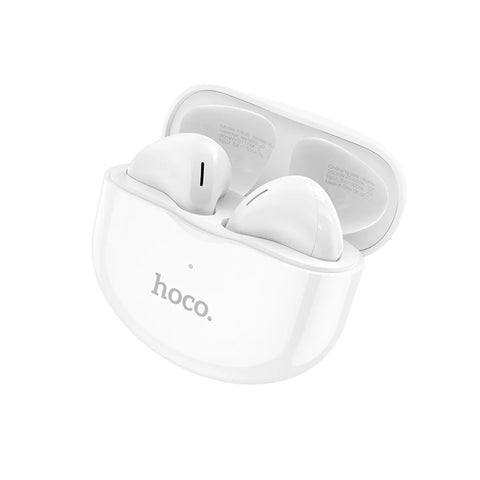 Hoco Earbuds EW35
