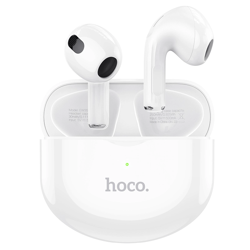 Hoco Earbuds EW35