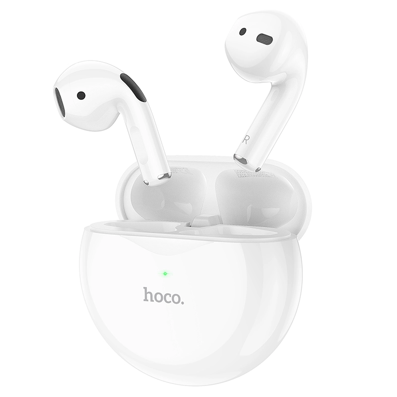 Hoco Earbuds EW24