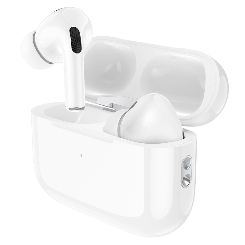 Hoco Earbuds EW 51